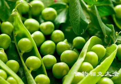 豌豆荚的营养价值