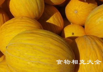 金丝瓜的营养价值