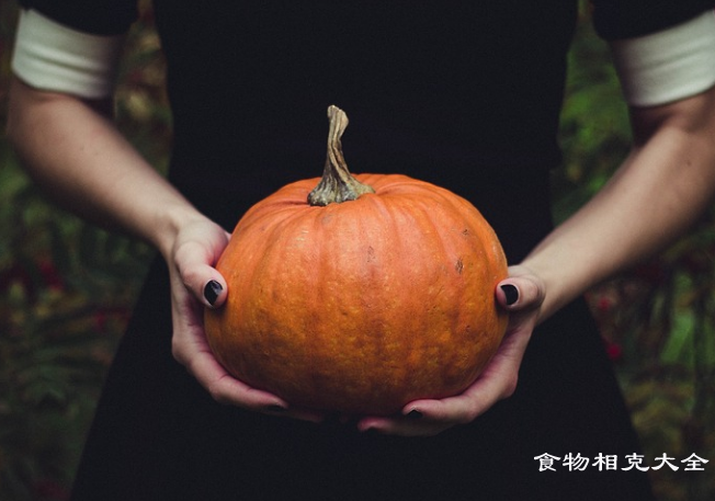 日本南瓜的营养价值