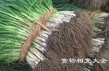 分葱的营养价值 分葱的营养价值