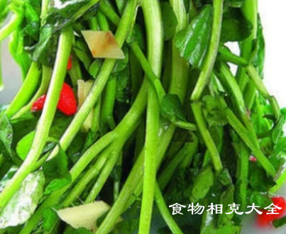 豆瓣菜的营养价值