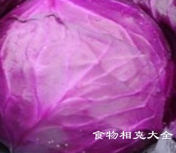 紫椰菜的营养价值 紫椰菜的营养价值