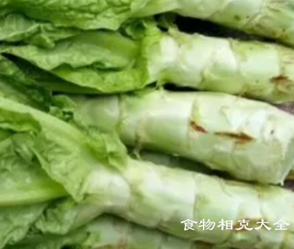 莴笋的营养价值