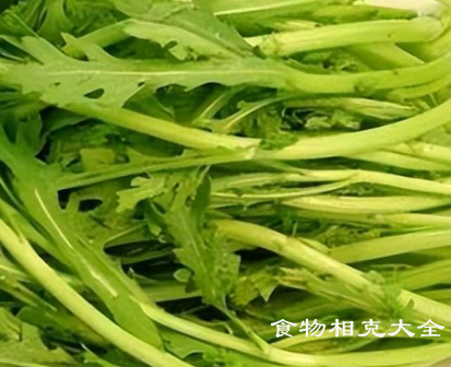茼蒿的营养价值