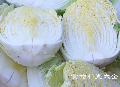 娃娃菜的营养价值