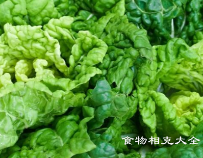 黄心菜的营养价值