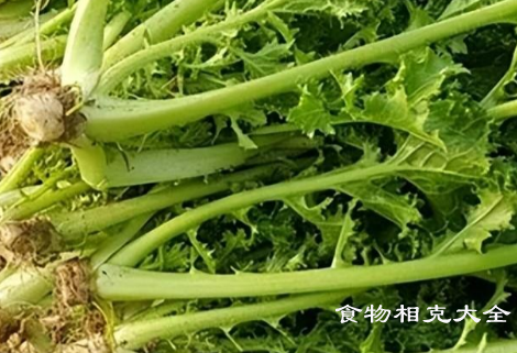 雪里红的营养价值