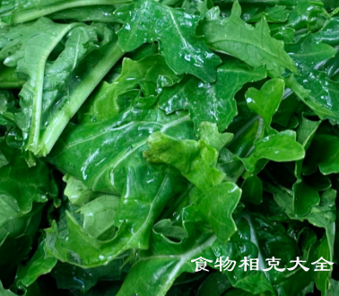 芥菜的营养价值