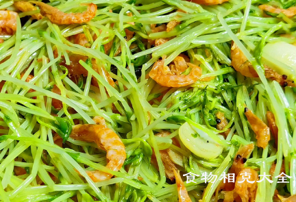 豆苗的营养价值