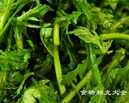 茼蒿的营养价值