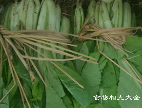 小白菜的营养价值