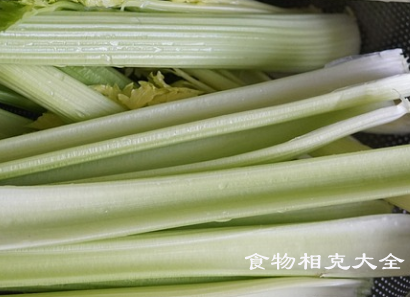 芹菜的营养价值