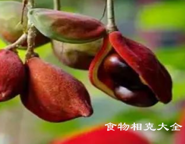 凤眼果的营养价值