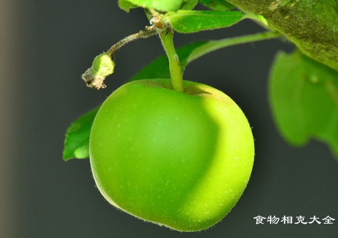 伏苹果的营养价值