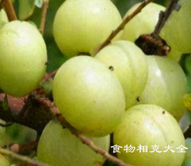 油皮（水果）的营养价值