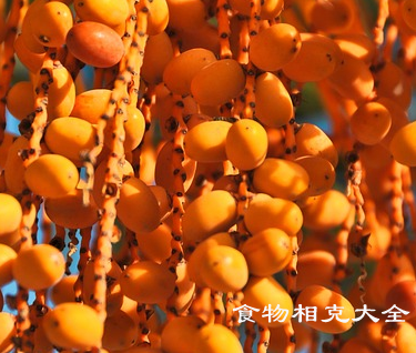 椰枣的营养价值