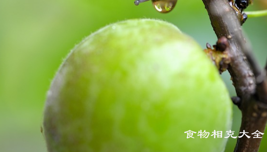 梅子的营养价值