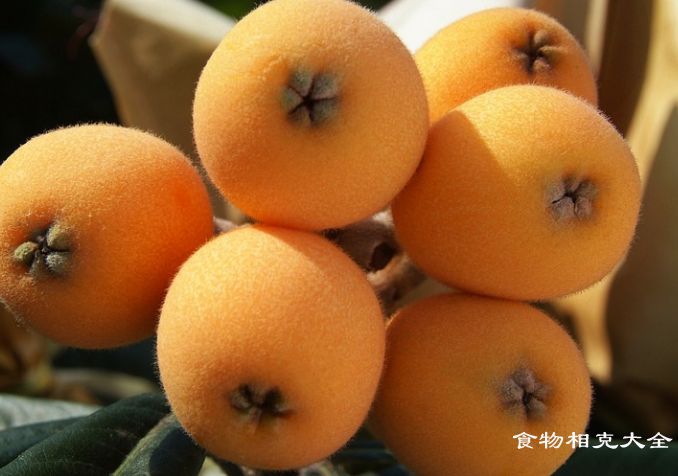 枇杷的营养价值