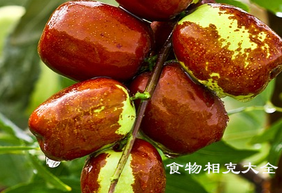 密云小枣的营养价值