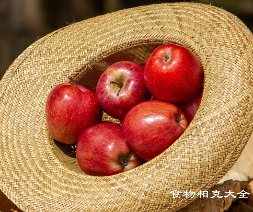 倭锦苹果的营养价值 倭锦苹果的营养价值