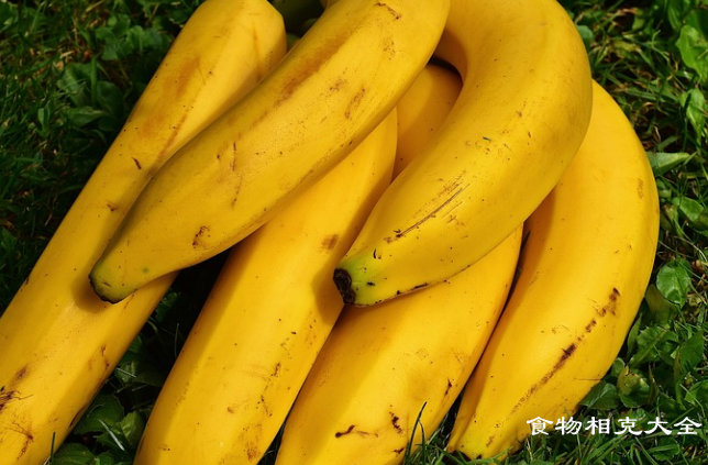 李林蕉的营养价值 李林蕉的营养价值