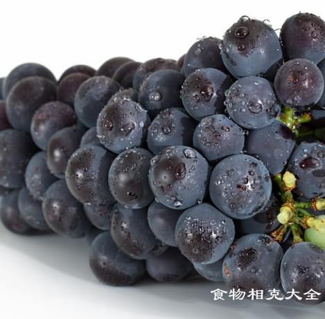 巨峰葡萄的营养价值