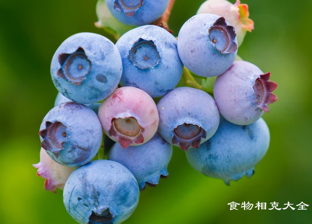 蓝莓的营养价值