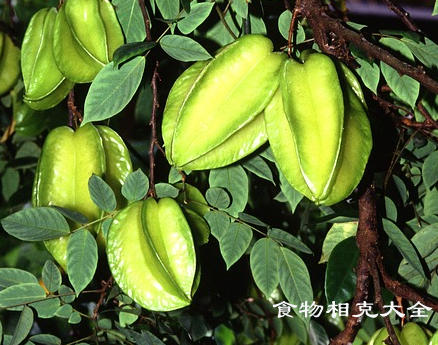 杨桃的营养价值