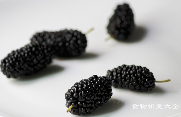 桑葚的营养价值