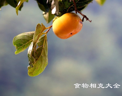 柿子的营养价值 柿子的营养价值