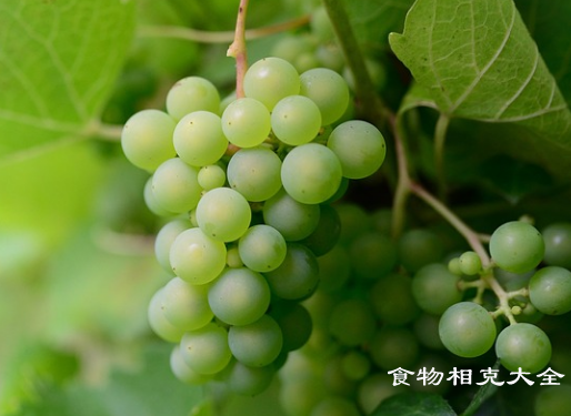 葡萄的营养价值