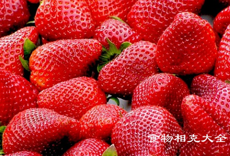 草莓的营养价值 草莓的营养价值