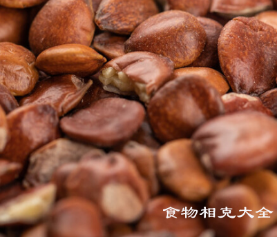 酸枣仁的营养价值