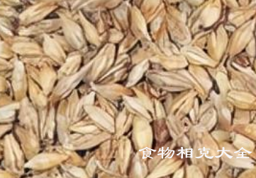 麦芽的营养价值