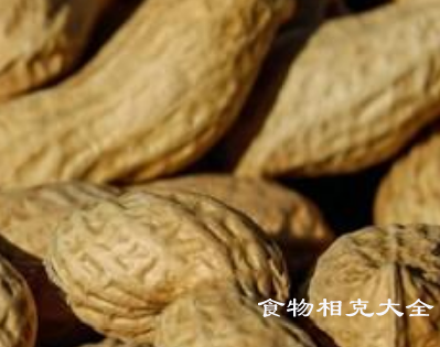 花生的营养价值