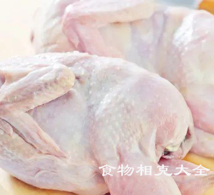 乳鸽的营养价值