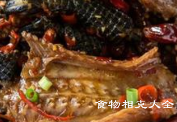 蛇肉的营养价值