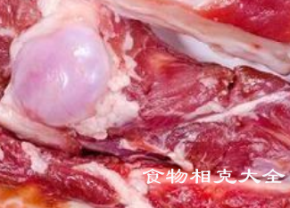 羊棒骨的营养价值