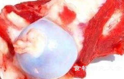 猪骨髓的营养价值
