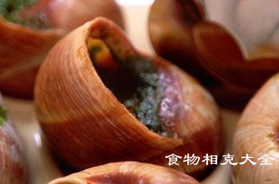 蜗牛的营养价值