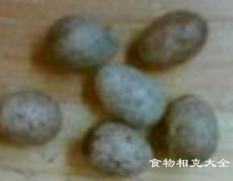 麻雀蛋的营养价值