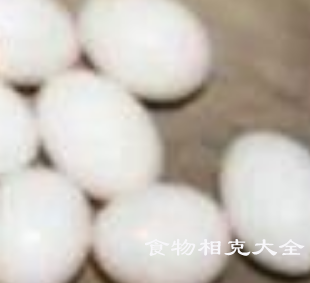 鸽蛋的营养价值