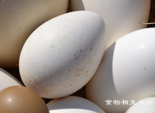 咸鹅蛋的营养价值