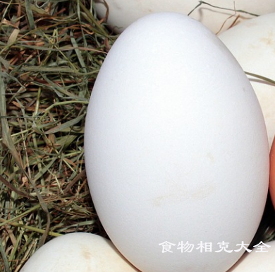鹅蛋的营养价值