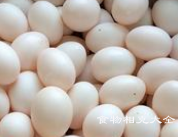 鸽子蛋的营养价值