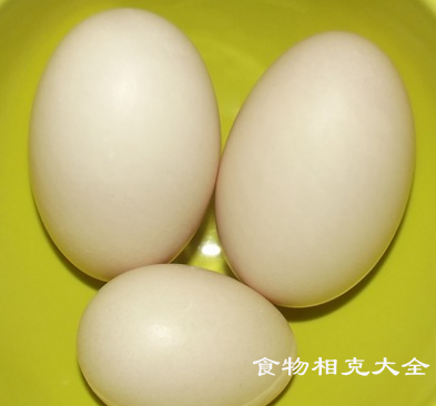 鸭蛋的营养价值