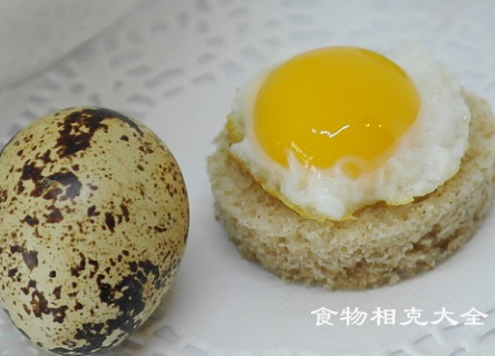 鹌鹑蛋的营养价值