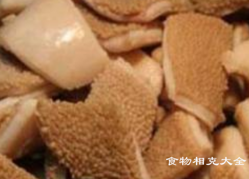 羊肚的营养价值