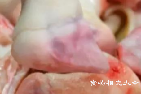 羊蹄的营养价值