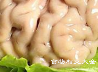 羊脑的营养价值